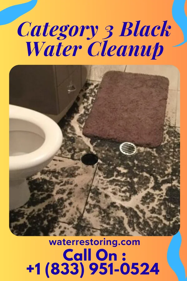 Category 3 Black Water Cleanup in Rafter J Ranch, WY