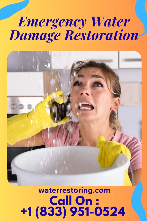 Emergency Water Damage Restoration in Rafter J Ranch, WY
