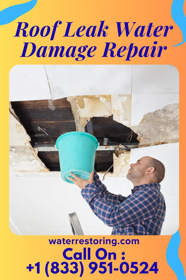 Roof Leak Water Damage Repair in Rafter J Ranch, WY